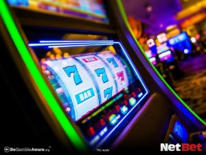 365jogos|Escolha agora bingo online certificado Aposte Confiável